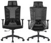 Mesh Ergonomic Chair