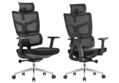 Mesh Ergonomic Chair