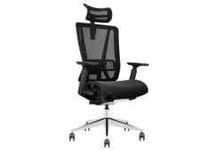 Mesh Ergonomic Chair with Seat Slide & adjustable Back Rest