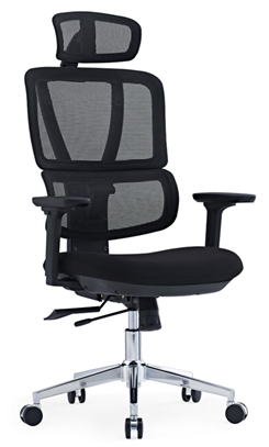 Ergonomic Mesh Chair with Seat Sliding