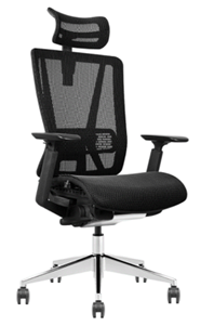 Mesh Ergonomic Chair with Seat Slide & adjustable Back Rest