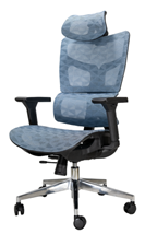 Mesh Ergonomic Chair with Seat Slide